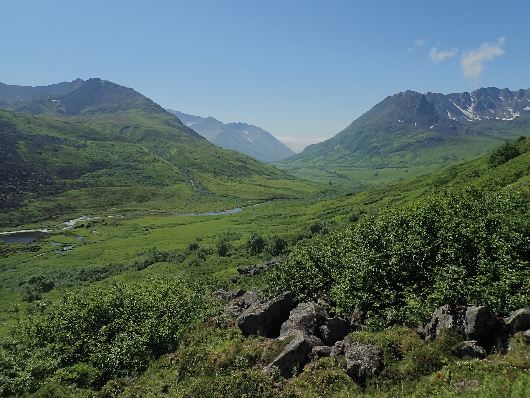 Alaska landscape