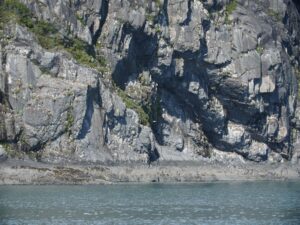 rocks ocean birds