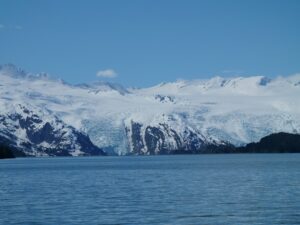 Alaska Whales