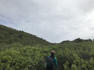 Hiking in Glacier View