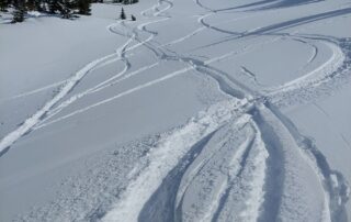 fresh ski tracks in snow