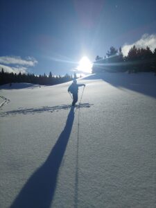 ski touring Alaska