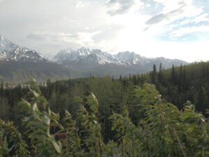 Alaska double exposure