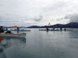 large group sea kayaking