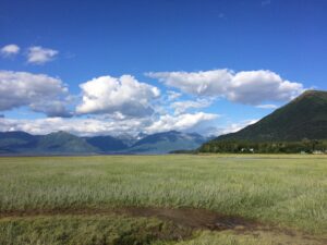 green gras blue skies and mountains with puffy clouds