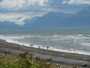 Kenai shoreline