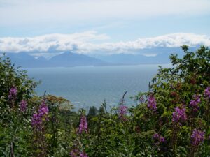 local parks in Alaska