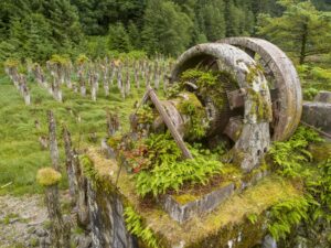 machinery with green overgrowth