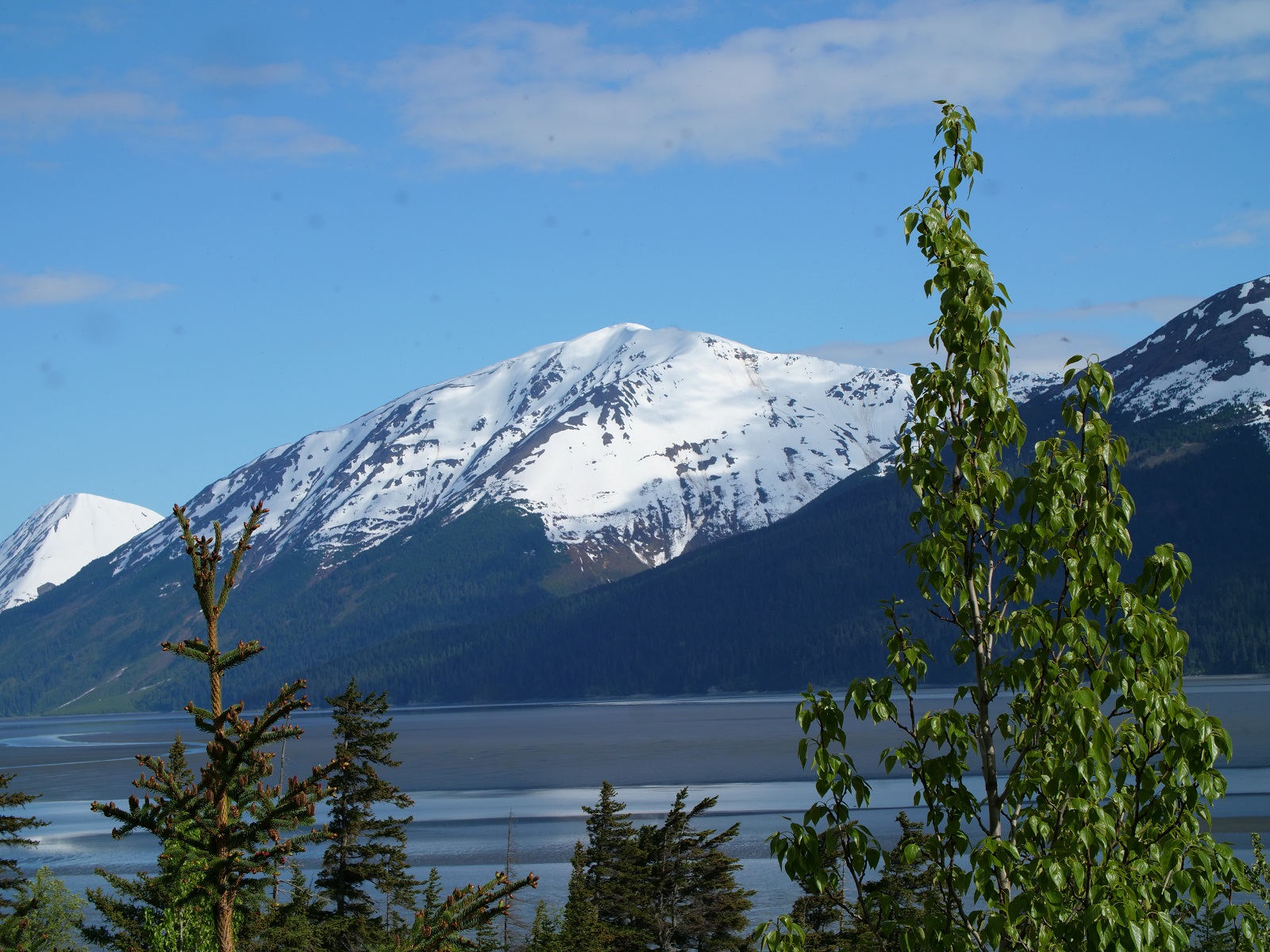 Turnagain Arm mountains