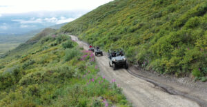 ATV and gold panning tour