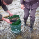 Alaskan gold panning tours