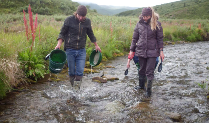 two people using buckets in a creek to find gold