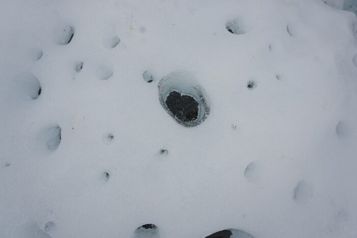 cryconites on the Matanuska Glacier