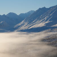 cloud cover over pine forest near snow covered mountains