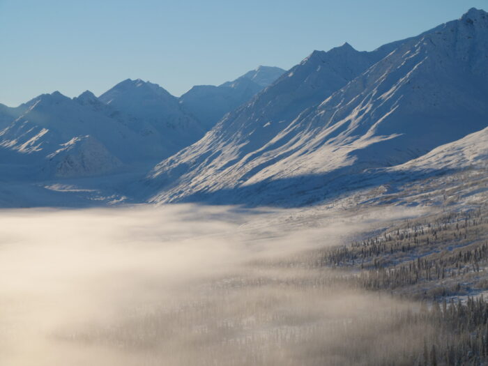 cloud cover over pine forest near snow covered mountains