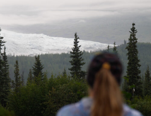 Alaska State Parks: South Central Region